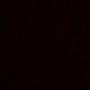 Meet your Posher, Lizzette